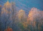 Ray Brightman - Autumn By Grasmere.jpg
